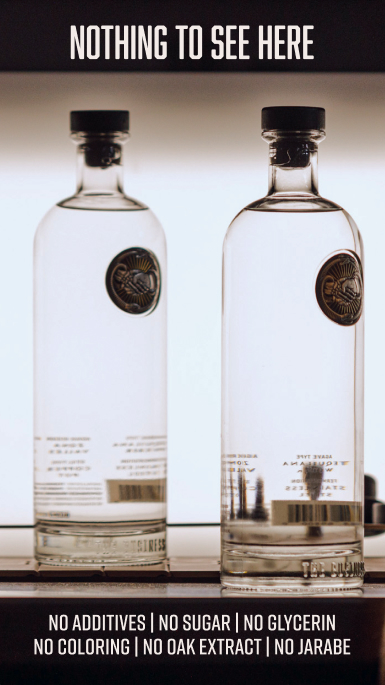 El Negocio Case Study | Moontide Agency