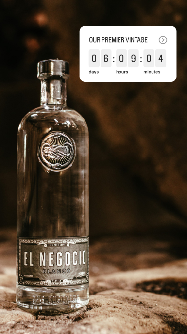 El Negocio Case Study | Moontide Agency