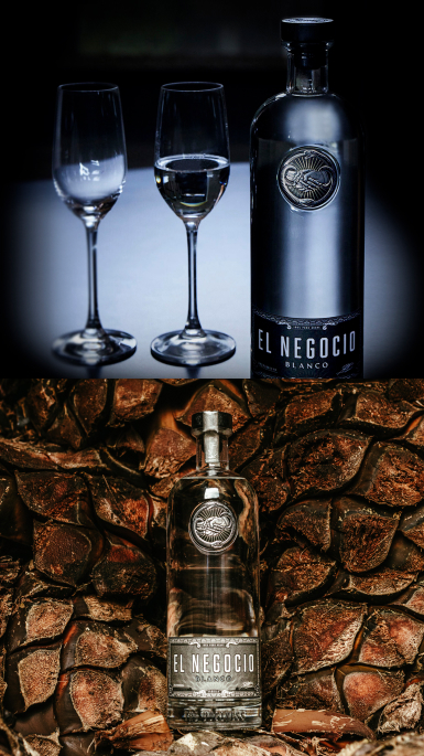 El Negocio Case Study | Moontide Agency