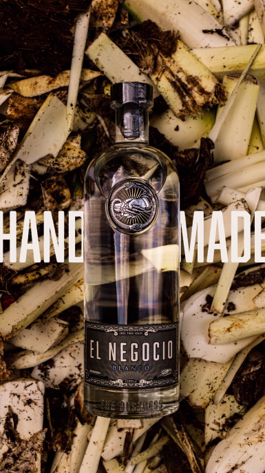 El Negocio Case Study | Moontide Agency