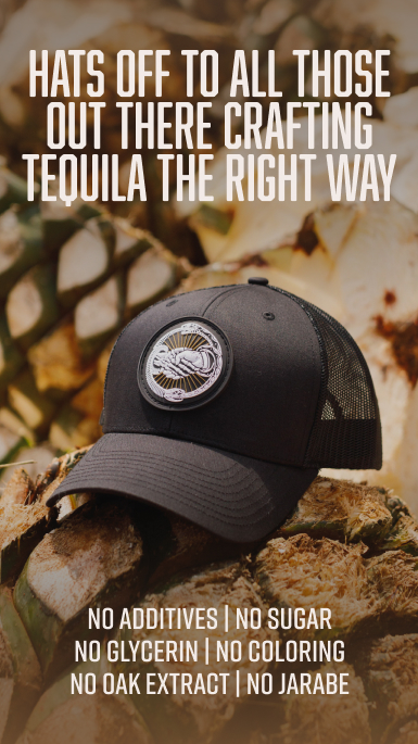 El Negocio Case Study | Moontide Agency