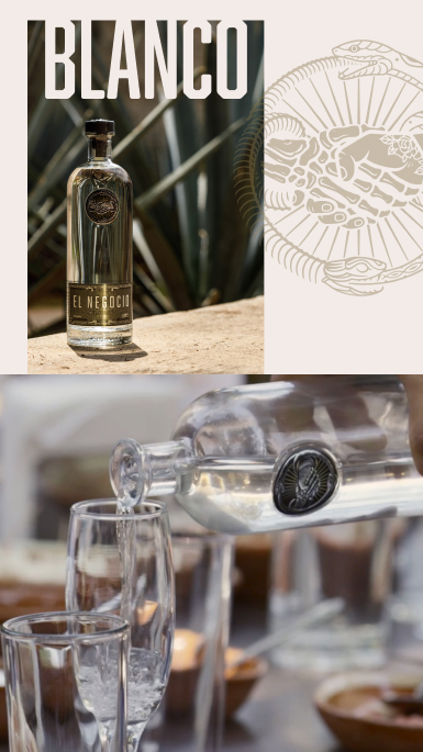 El Negocio Case Study | Moontide Agency