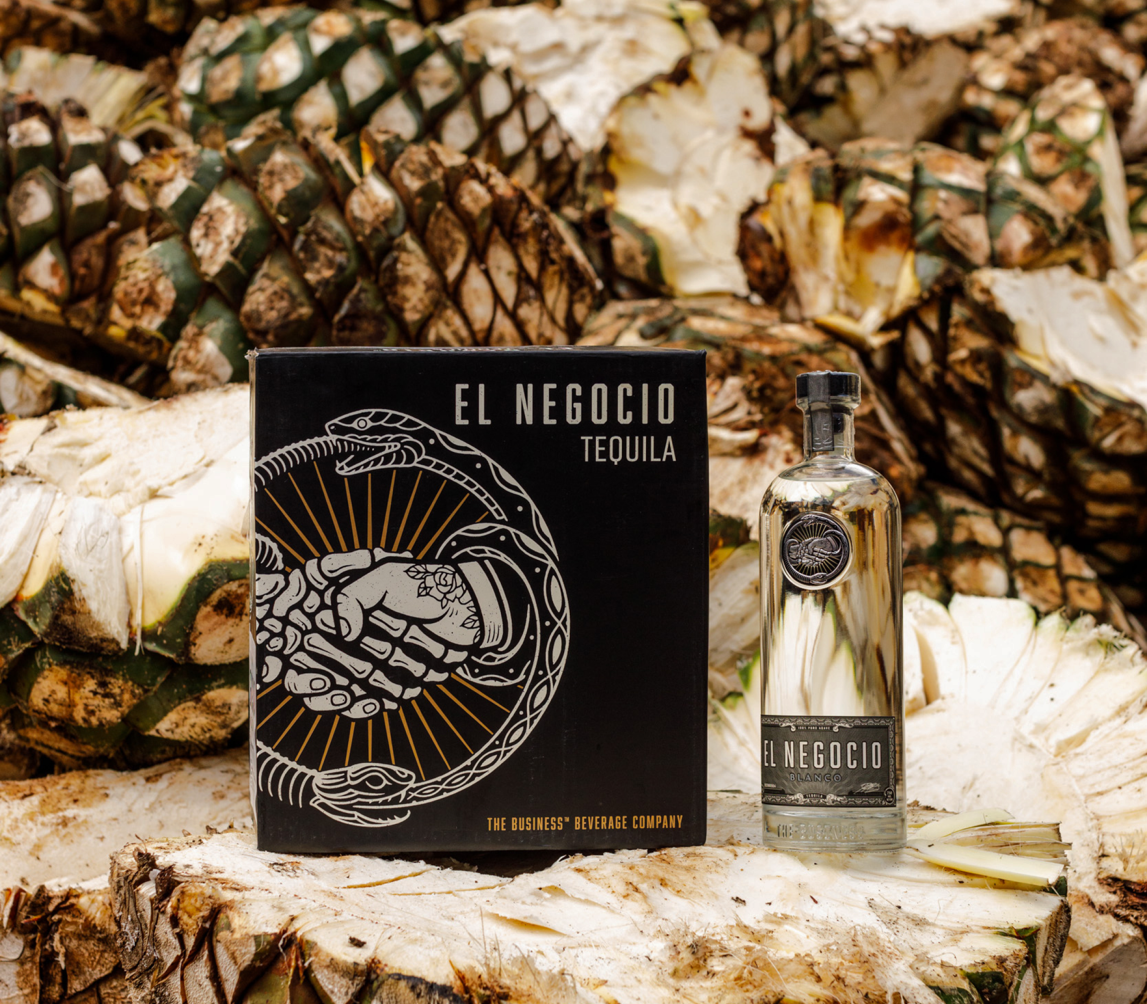 El Negocio 19 CaseStudy ElNegocio Image5