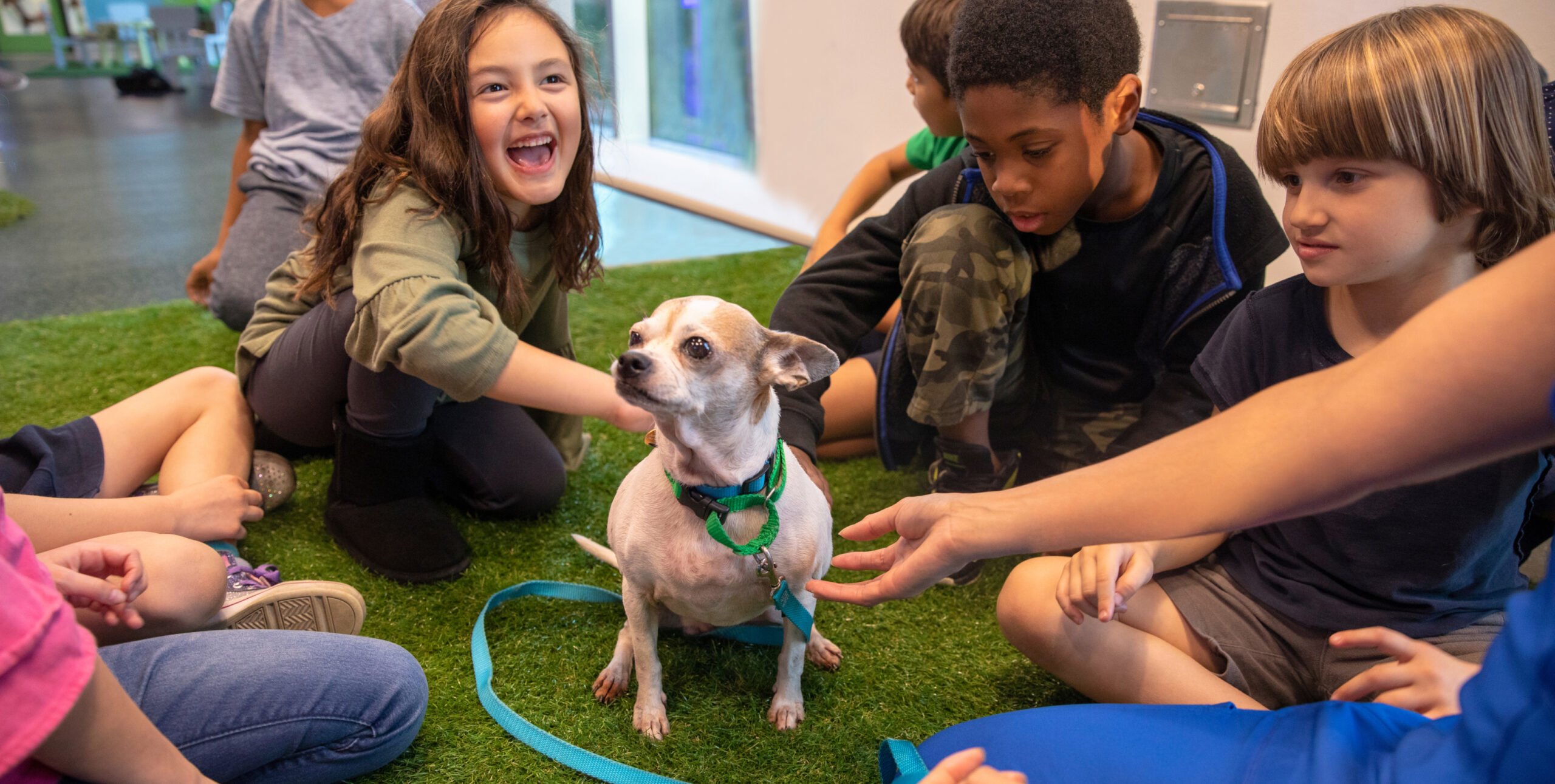 Case Study PetSpace HeaderImage scaled