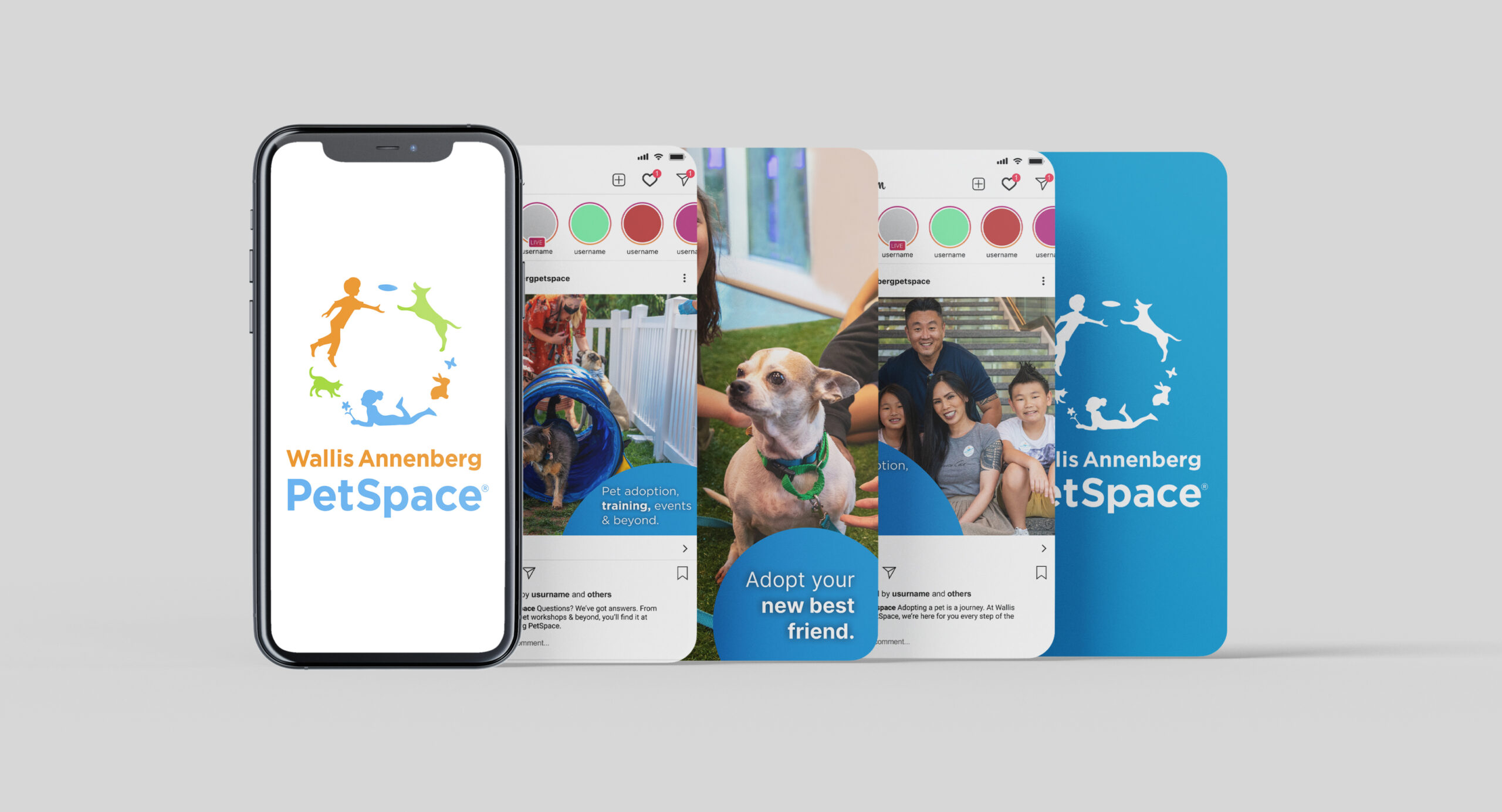 Case Study PetSpace Image1 scaled
