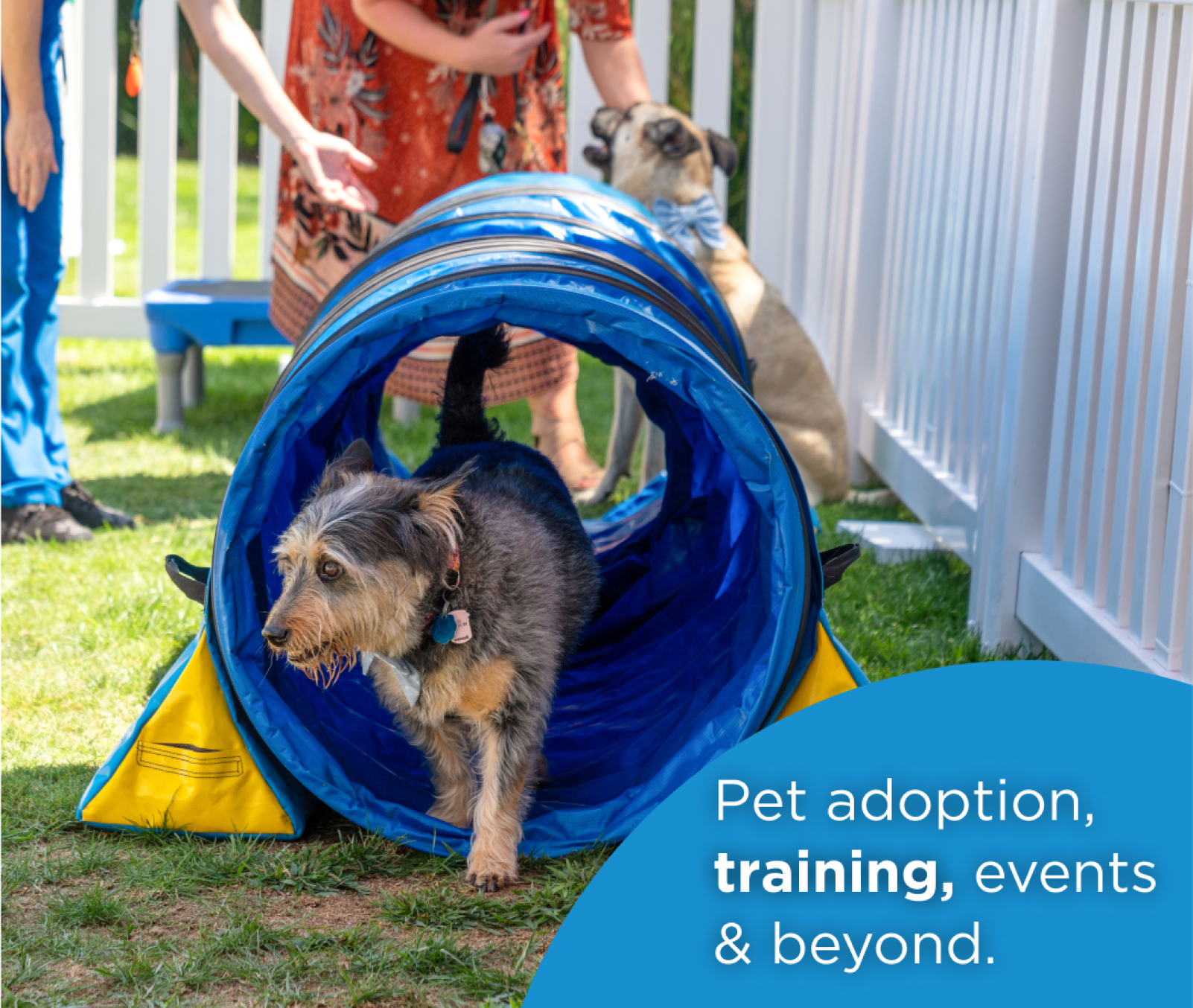 Case Study PetSpace Image2