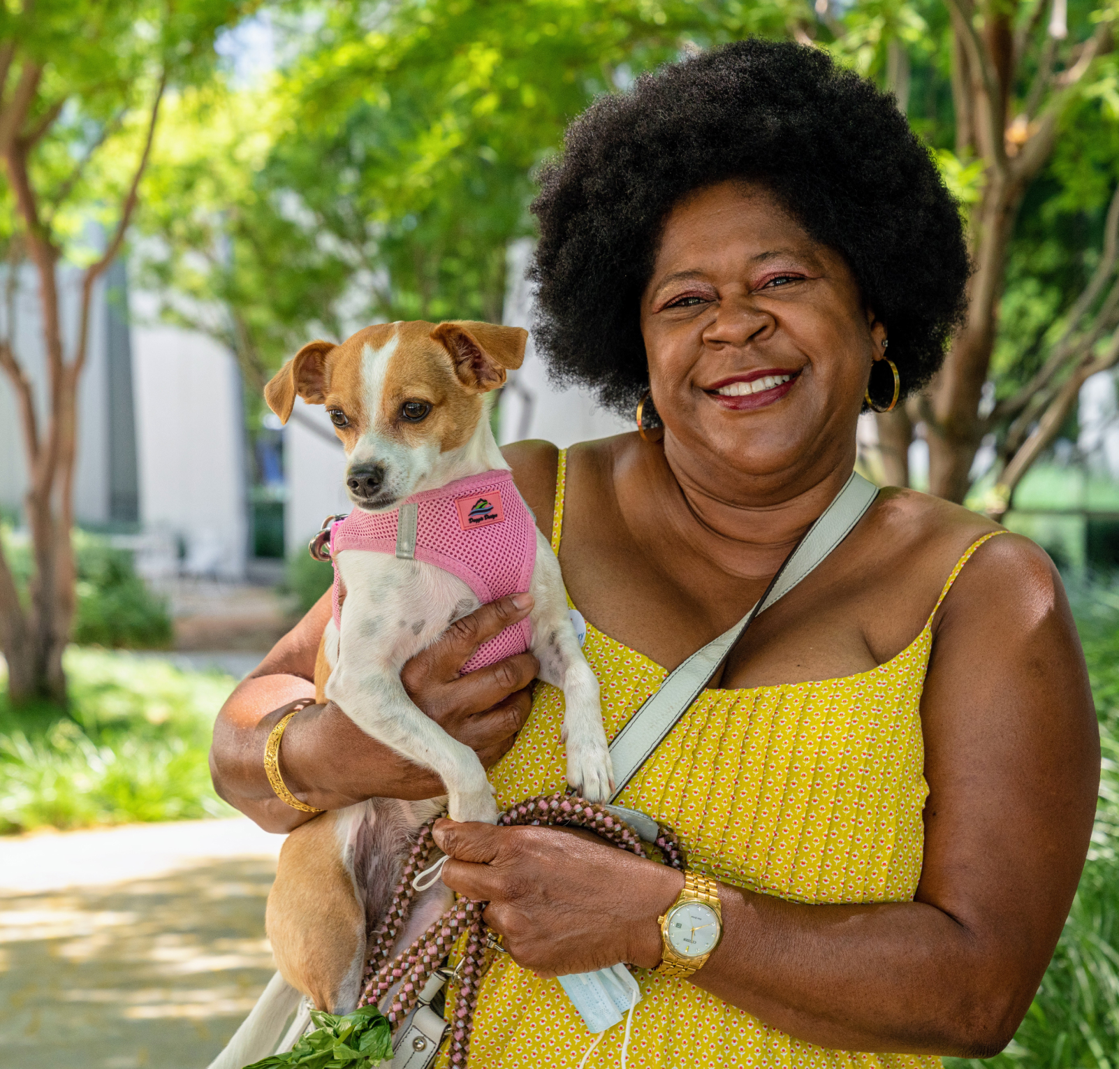 Case Study PetSpace Image5