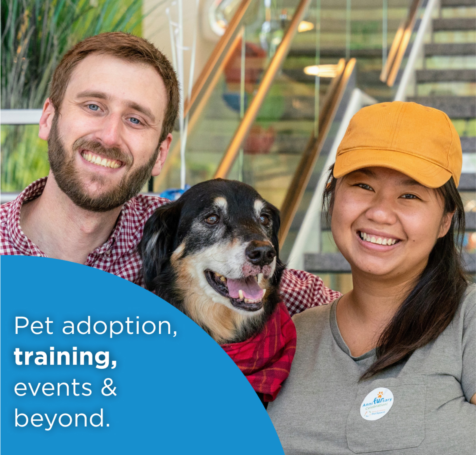Case Study PetSpace Image6